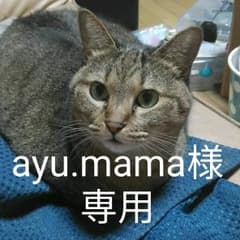 ayu.mama
様専用のサムネイル