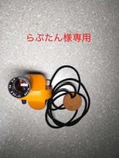 コンパスグラスのサムネイル
