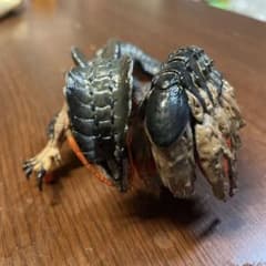モンスターハンター(オロミドロ)のサムネイル