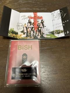 BiSHくじ　アイナジエンドセット　パスポートケース、サイン入りミニ色紙のサムネイル