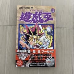 初版 帯付き】遊戯王 23巻 高橋和希 - メルカリ