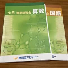 早稲アカ、新小5 春期講習会 算数・国語 問題集 - メルカリ