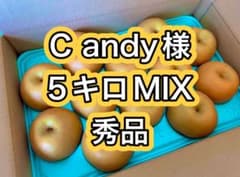C andy様専用　5キロMIX 福島県産 朝取り 5キロ以上　秀品　贈答用 - 4