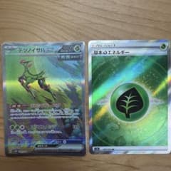 ポケモンカード テツノイサハex SAR 基本草エネルギー SR 2枚セットのサムネイル