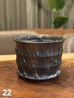 陶器鉢 植木鉢 塊根植物 コーデックスのサムネイル