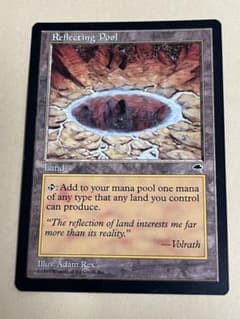 mtg タートルズ 優勝 プロモ 稲妻 ボーダーレス 英語版　4枚 mtg タートルズ 優勝 プロモ 稲妻 ボーダーレス 英語版 tmt - メルカリ