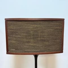 BOSE 901 IV speakers (2 units) *Speakers only