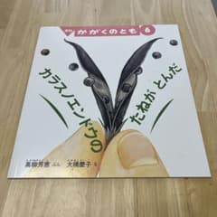 かがくのとも 6 たねがとんだのサムネイル