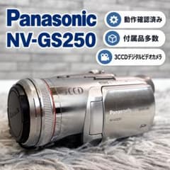 miniDVのダビングに Panasonic ビデオカメラ NV-GS250 - メルカリ