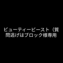 専用ページのサムネイル
