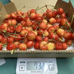 山形県寒河江市産　紅きらり　加工用　700gのサムネイル