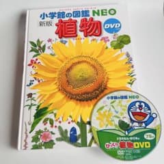 【DVD付き・新版第1刷】小学館の図鑑NEO 植物のサムネイル