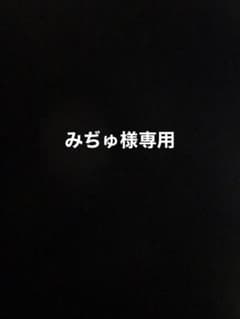 みぢゅ様専用ですのサムネイル