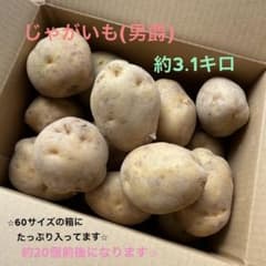 ☆令和7度☆新じゃが☆じゃがいも(男爵)のサムネイル
