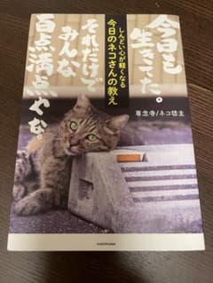 しんどい心が軽くなる 今日のネコさんの教えのサムネイル
