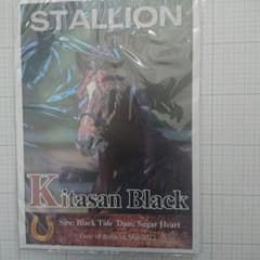 ●値下げ● キタサンブラック ミニパネル 写真パネル 未開封 競走馬グッズのサムネイル
