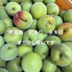 南高梅　訳あり　９キロ　青めのサムネイル