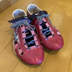 【フェリシア様専用】ミズノ インクススプリント24.0cmのサムネイル