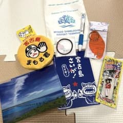 宮古島 まもるくん まる子ちゃん シーサーM レア 新品未使用 81kGxrPg8gL._AC_UF350,