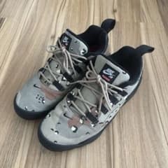 Supreme Nike SB Darwin Low デザートカモ 30cm - メルカリ