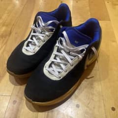 【最終値下げ】NIKE レブロン20 インソール無 31cmのサムネイル