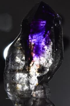 m54680452573_1.jpg?1691488824