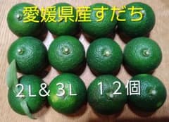 愛媛県産すだち　２L以上　１２個のサムネイル