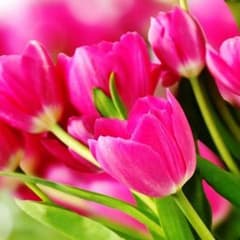 みんみん様確認用のサムネイル