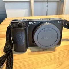 美品】SONY α6100 Eマウント 純正バッテリー×3個付属 - メルカリ