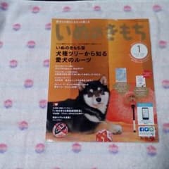 ☆いぬのきもち☆2016年、1月号のサムネイル