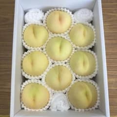 오카야마 산지 직송