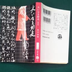 大いなる助走のサムネイル