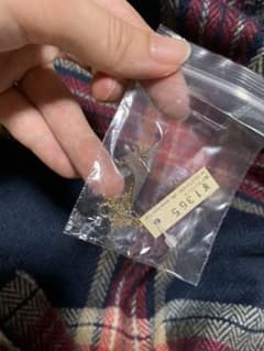 ネックレスとアンクレットのサムネイル