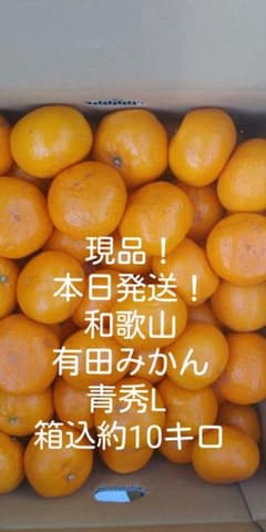 和歌山　有田みかん　ご家庭用　Lサイズ　箱込約10キロ(^^)のサムネイル