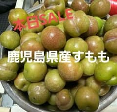 鹿児島県産　いぐりすもも　ブラム　１.1~1.2キロ以上箱込みのサムネイル