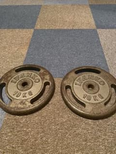 IVANKO 1個10KG ダンベルプレート2個セット IVANKO ダンベルプレート 10kg 2枚セット - メルカリ