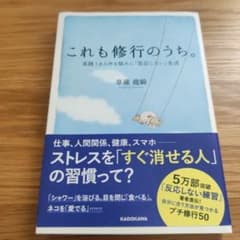 これも修行のうち。 : 実践!あらゆる悩みに「反応しない」生活のサムネイル