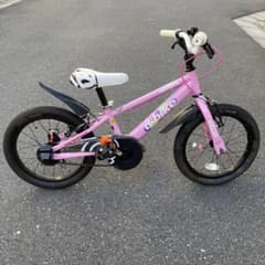 m54711840165_1.jpg?1717866785