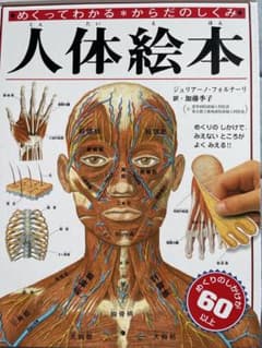 人体絵本 めくってわかるからだのしくみのサムネイル