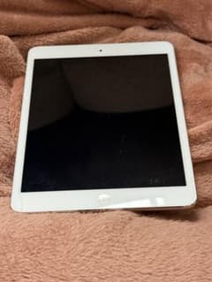iPad miniのサムネイル