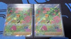 ポケモンカード ナタネの活気 SARのサムネイル
