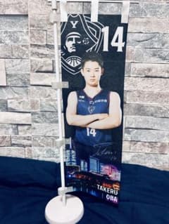 大庭岳輝 のぼり(横浜ビーコルセアーズ)のサムネイル