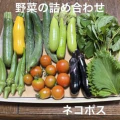野菜の詰め合わせのサムネイル