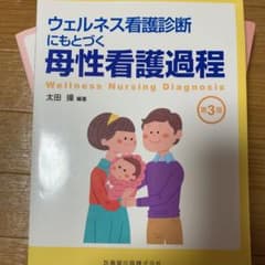 ウェルネス看護診断にもとづく母性看護過程のサムネイル
