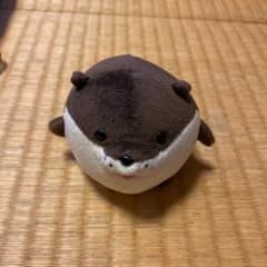 かわうそ　ぬいぐるみのサムネイル
