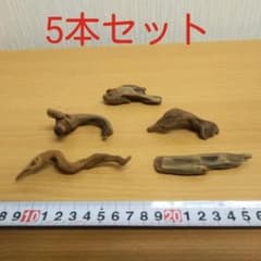 マングローブ系ミニ流木5本②　　　　　　アクアリウム3点同時購入800円引き‼️のサムネイル