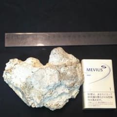 石灰岩のサムネイル