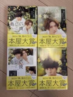 美しい彼 小説 4巻セットのサムネイル