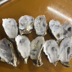 牡蠣殻　7個入りのサムネイル