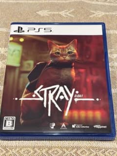 PS5 Stray（ストレイ）